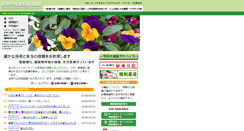 Desktop Screenshot of dr-maehashi.jp
