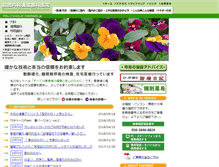 Tablet Screenshot of dr-maehashi.jp